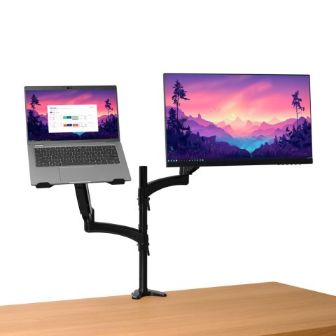 Uchwyt na monitor i laptopa TRUST MARA (25337) Trust Uchwyt na monitor i laptopa TRUST MARA (25337) Trust